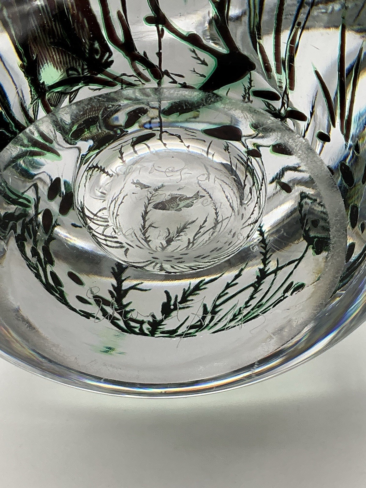 Orrefors Fish Underwater Aquarium Graal Vase Edward Hald Sweden 5.25 Inches
