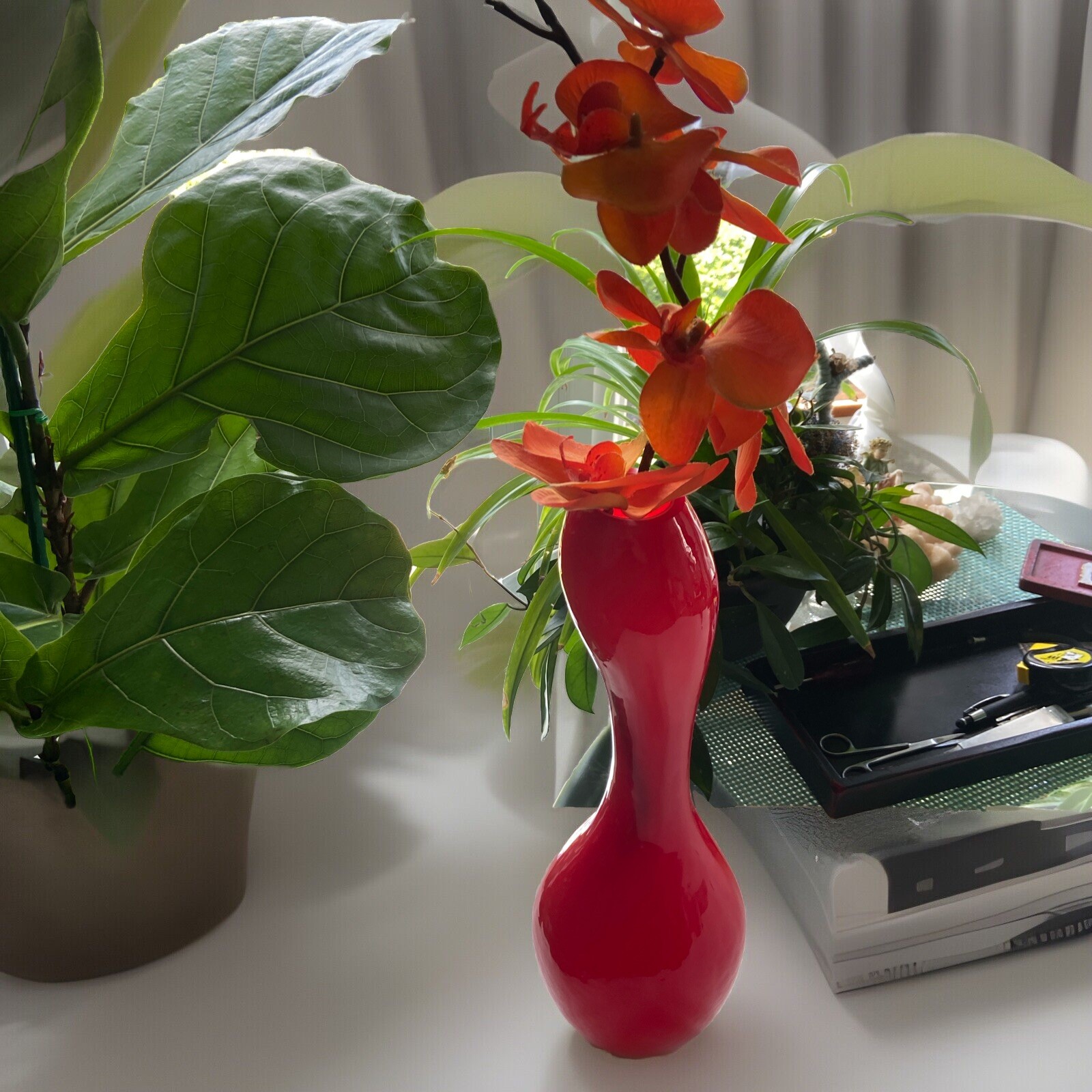 Torre & Tagus 15″ Tall Collection Curvy Handblown Glass Vase Decor Red