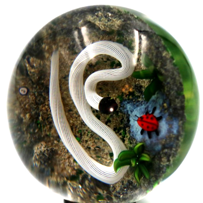 Fascinating DELMO TARSITANO Ribbon Snake Lady bug Beetle Art Glass Paperweight