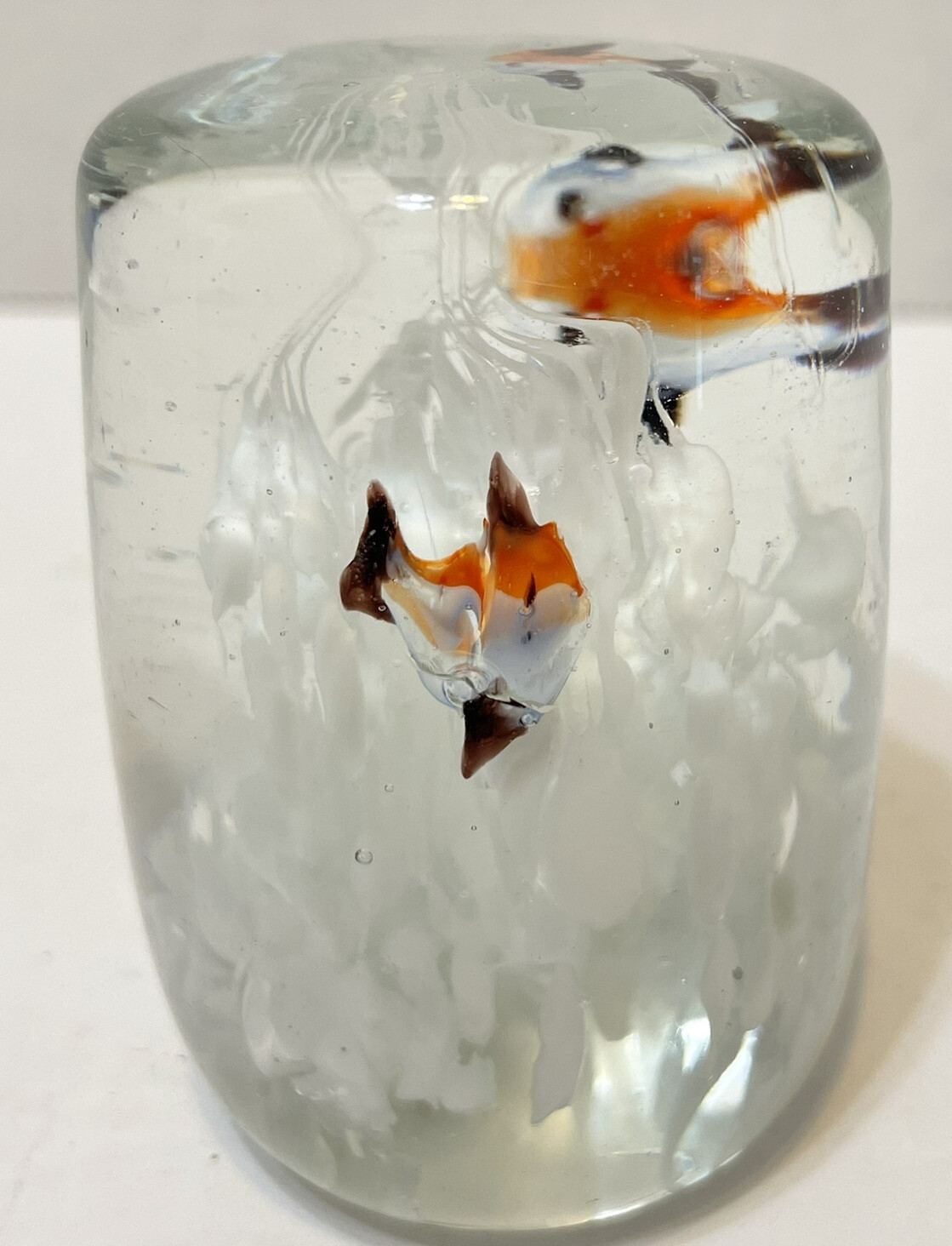 Vintage Angel Fish and Reef Clear Paperweight 2.75 x 2 Inches