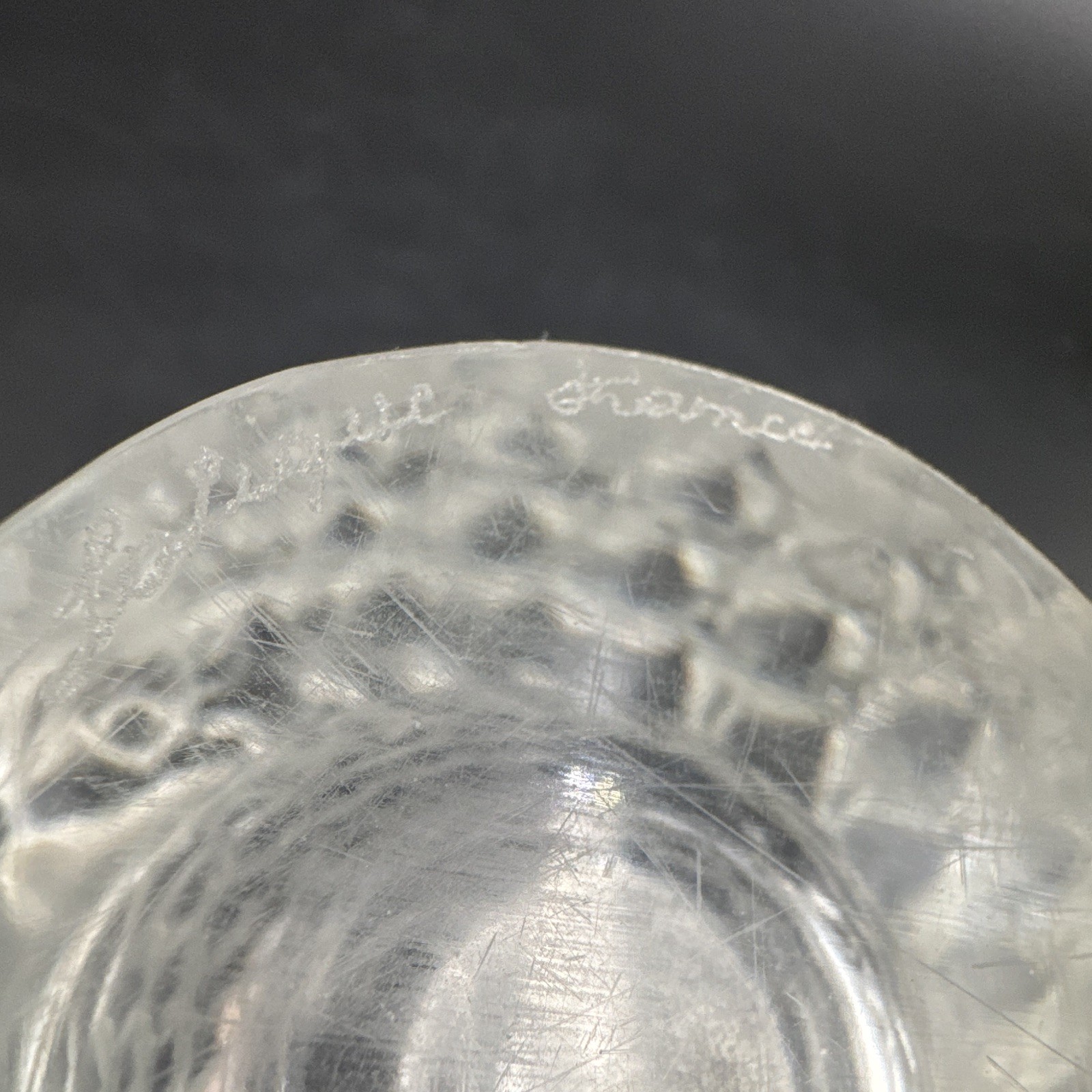 Clear Glass Vase Fish Theme Relief Pattern with Raised Decorative Frosted Detail