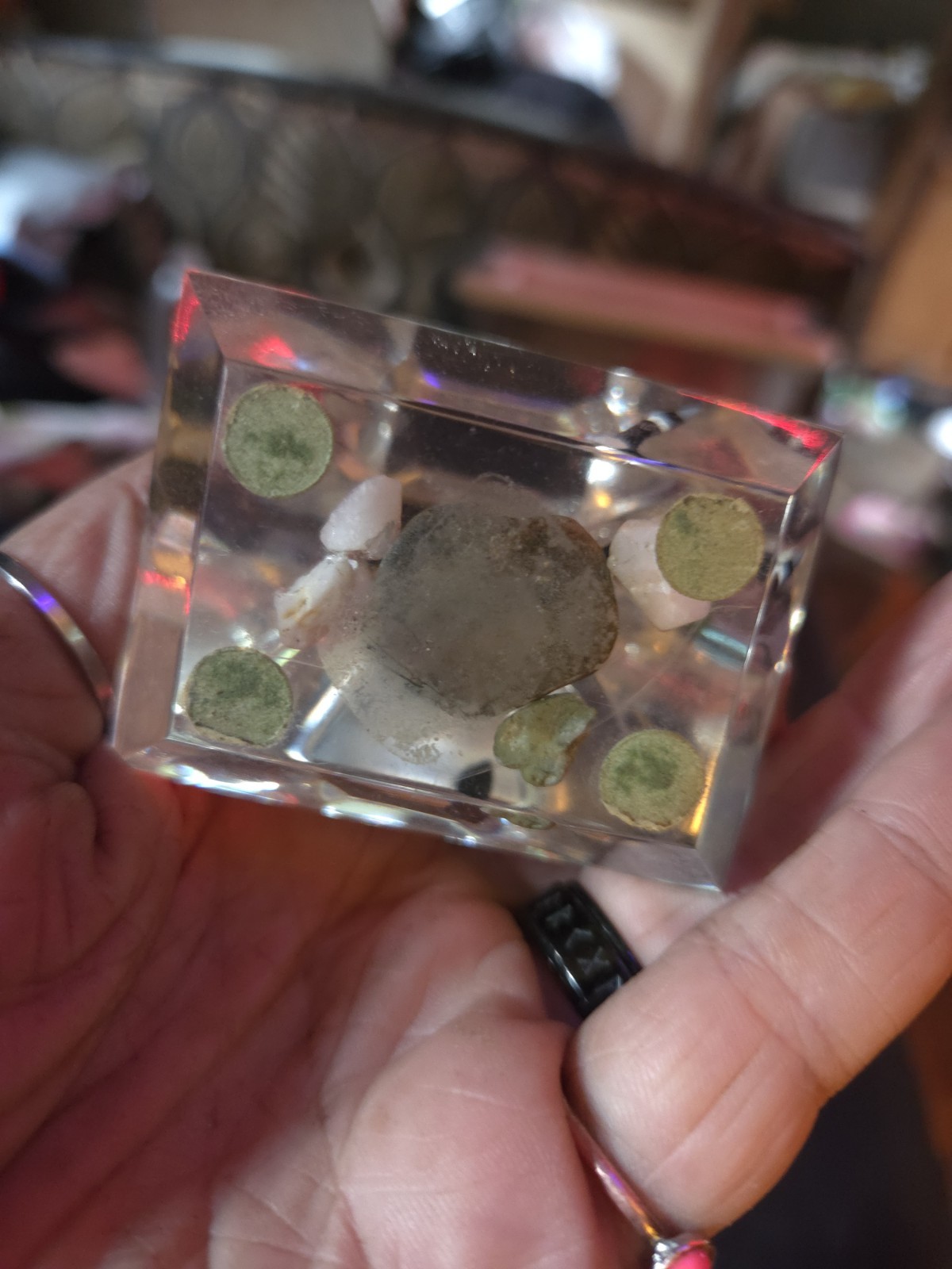 Vintage Canadian Goose Paperweight – Lucite/Resin Sculpture-Souvenir Desk Decor