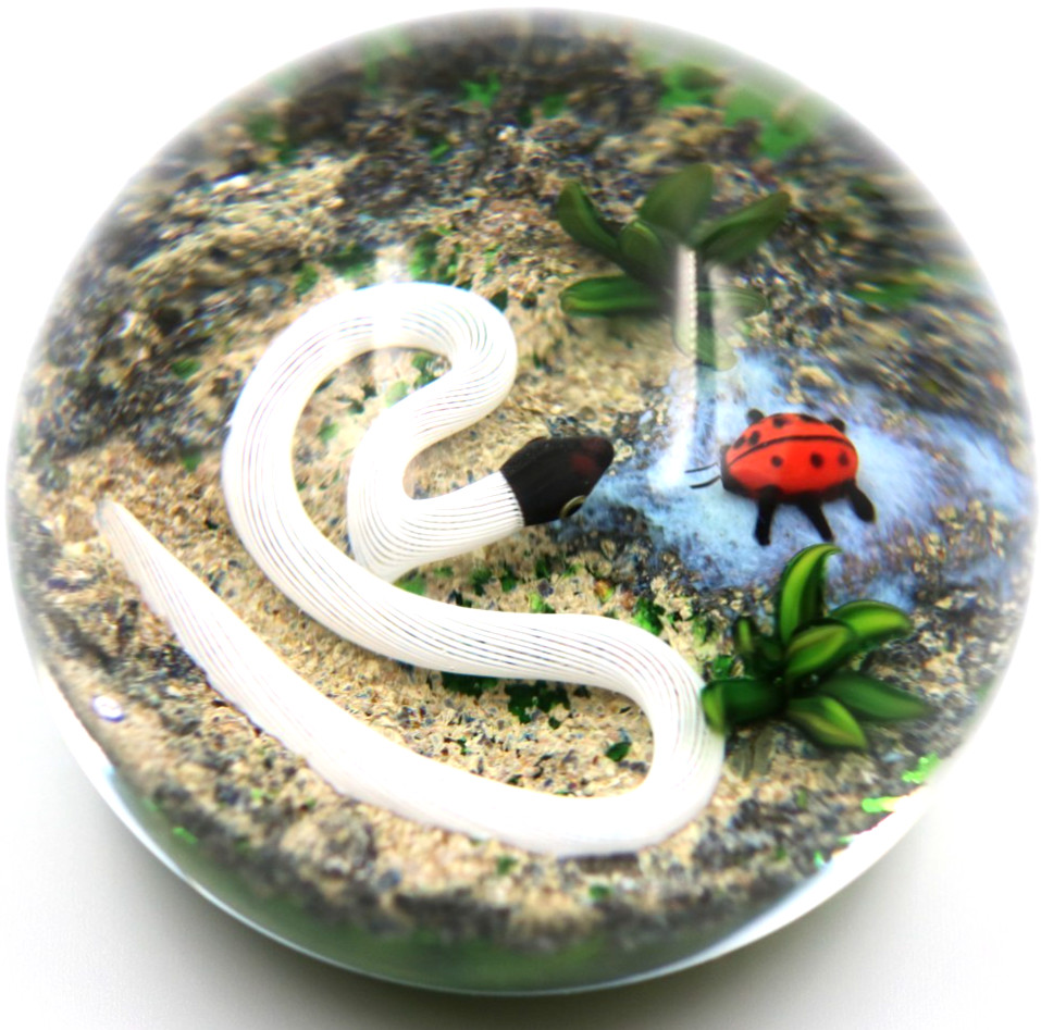 Fascinating DELMO TARSITANO Ribbon Snake Lady bug Beetle Art Glass Paperweight