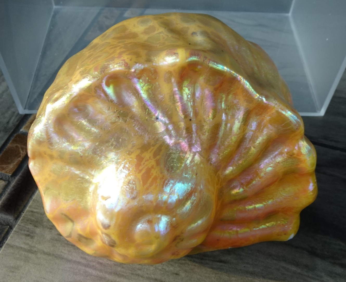 Signed Orient & Flume Glass Snail Shell Ocean Figurine Spotted Iridescent 1979