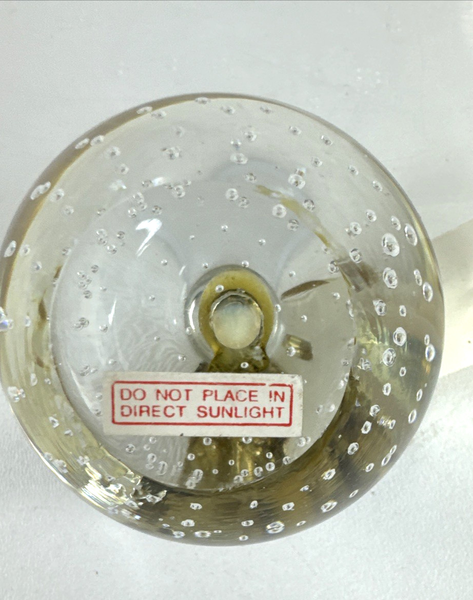 Glass Apple Hand Blown Controlled Bubbles Paperweight Polaroid Education 1986-96