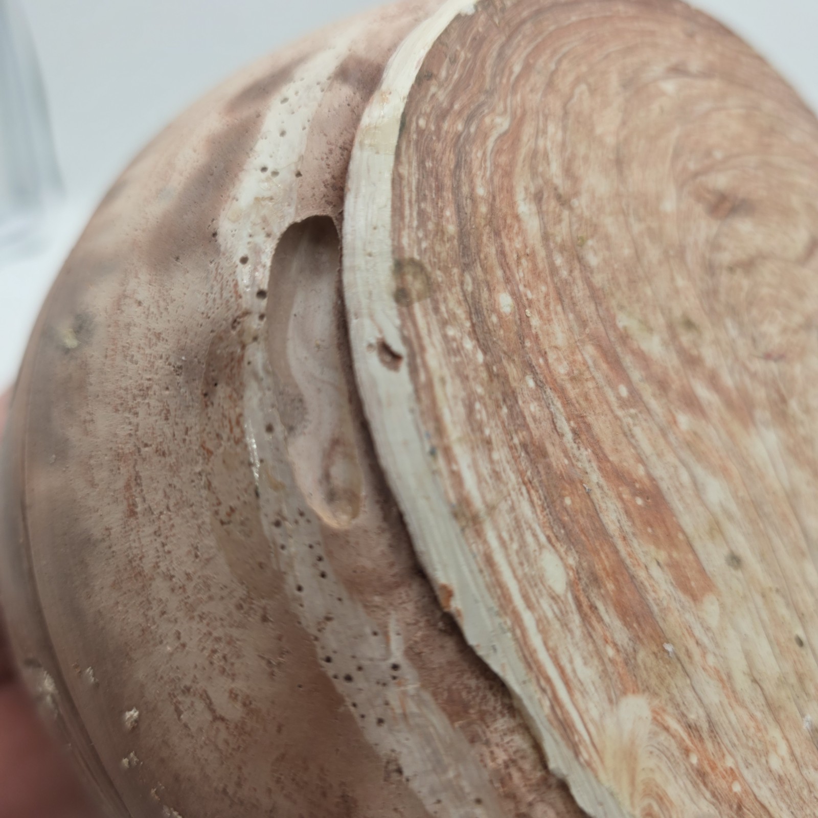 Studio Ceramic Pottery Vase Aztec Earth Tones