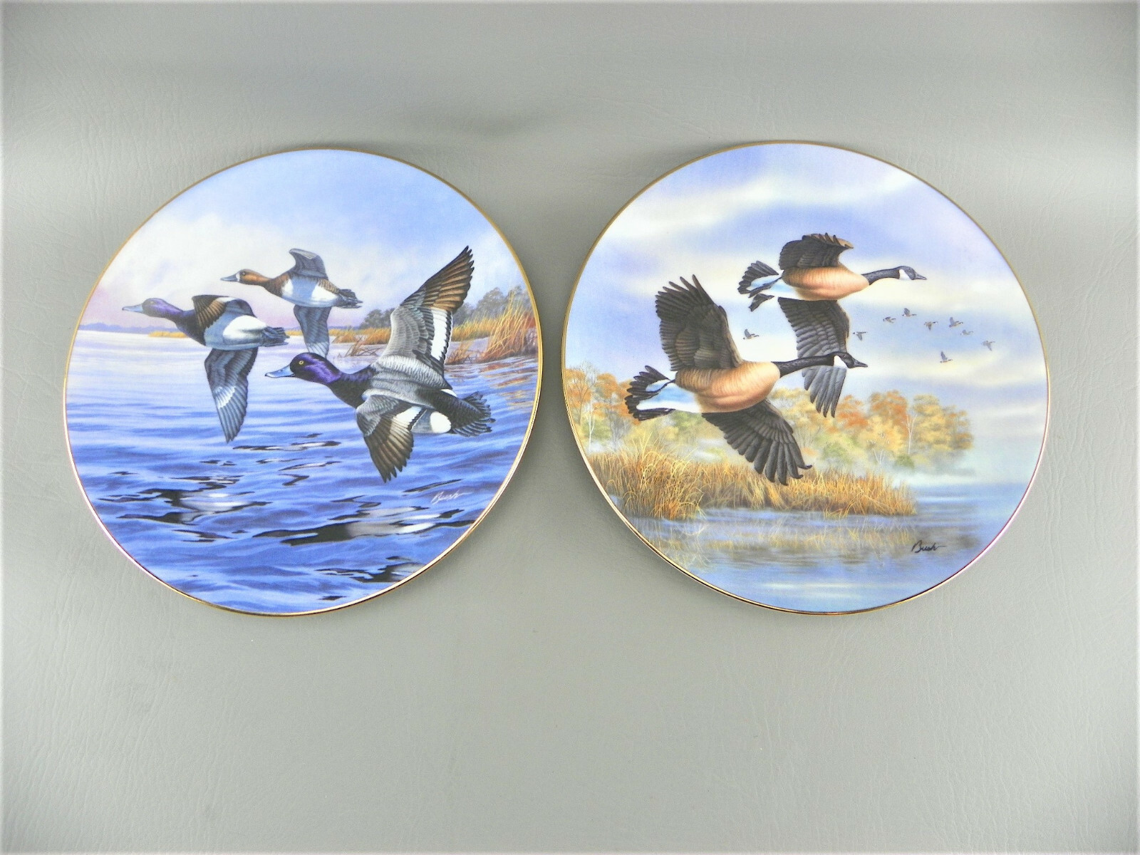 Vintage Dominion China 1990/91 Canadian Nature Birds Darrell Bush # Plate Lot