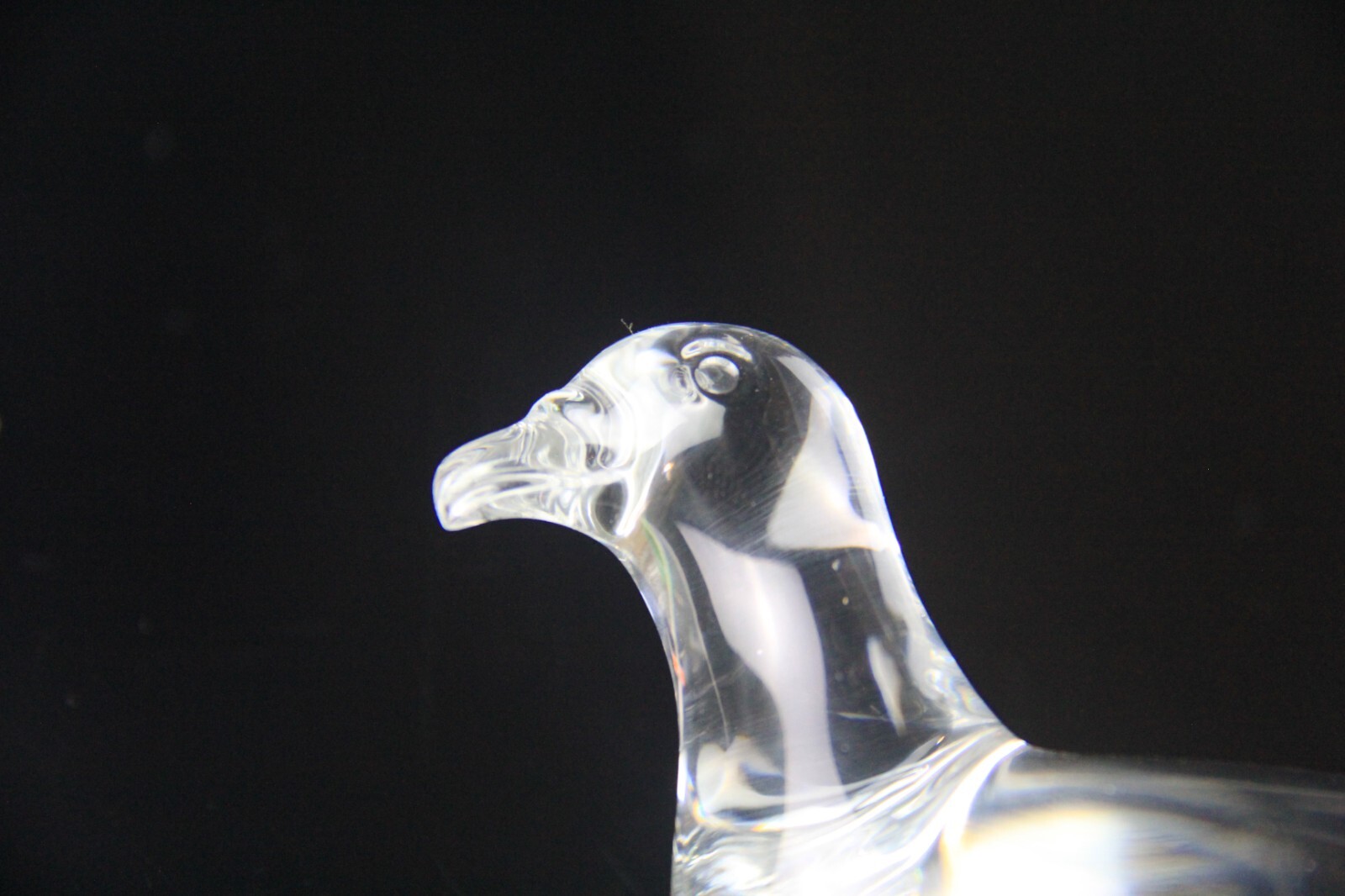 BACCARAT Figurine France Clear Crystal Turtle Dove Bird Paperweight Signed