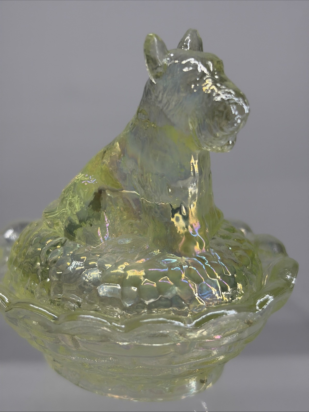 Boyd Scottie Dog on Nest Salt 2.5″ Vaseline Iridescent Uranium Glass UV Glow HTF
