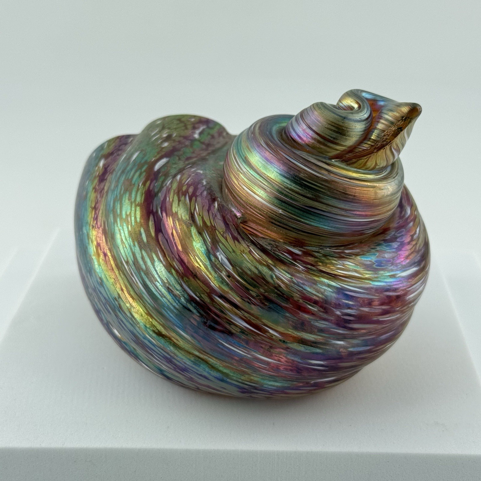 Cohn Stone Studios Art Glass Nautilus Shell Paperweight Sculpture Iridescent