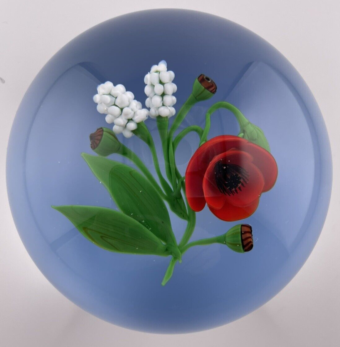 VICTOR TRABUCCO 1988 Orange Poppy On Blue Glass Paperweight Signed/Dated 3.3″