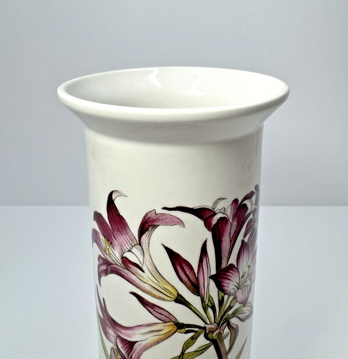 VTG Portmeirion Botanic Garden 9” Cylinder Vase AMARYLLIS Flower Moth Butterfly
