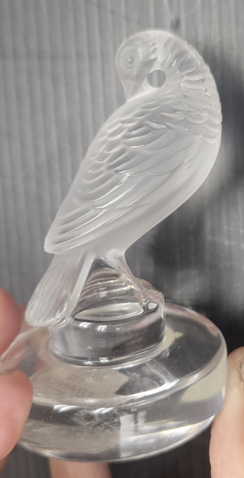 Vintage Lalique France Clear Crystal Tourterelle Preening Turtledove