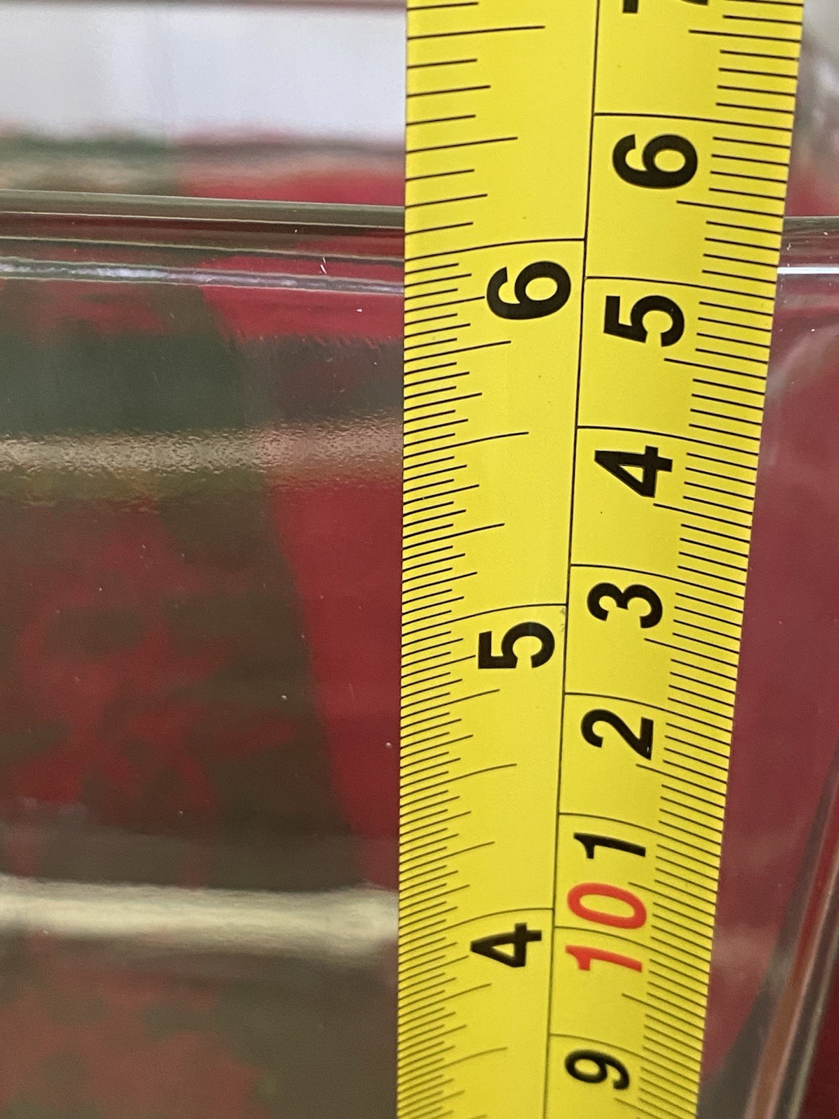 Square Clear Cube Vase Thick Heavy Candy Dish 6”