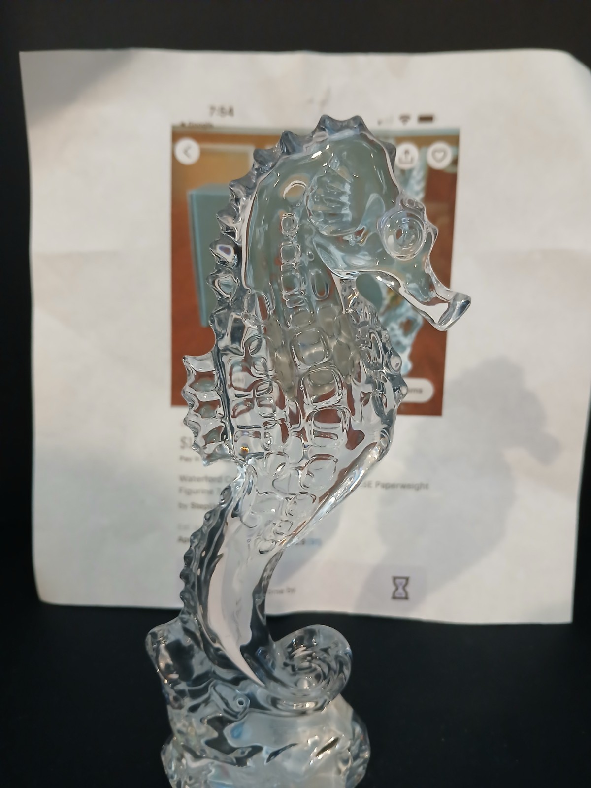 Waterford Crystal Giftology Cape Collection 7.25″ Seahorse