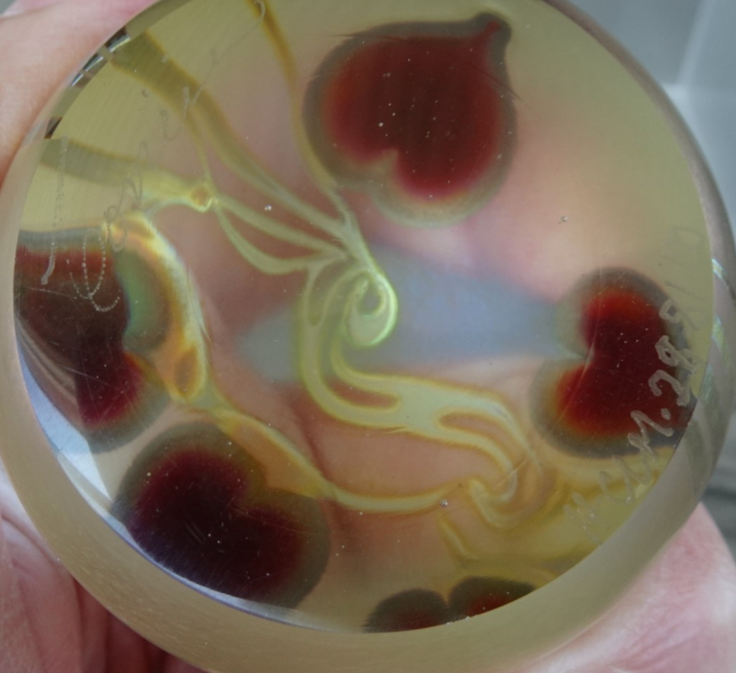 Signed Correia Art Glass Iridescent Gold Trailing Hearts Paperweight 1981