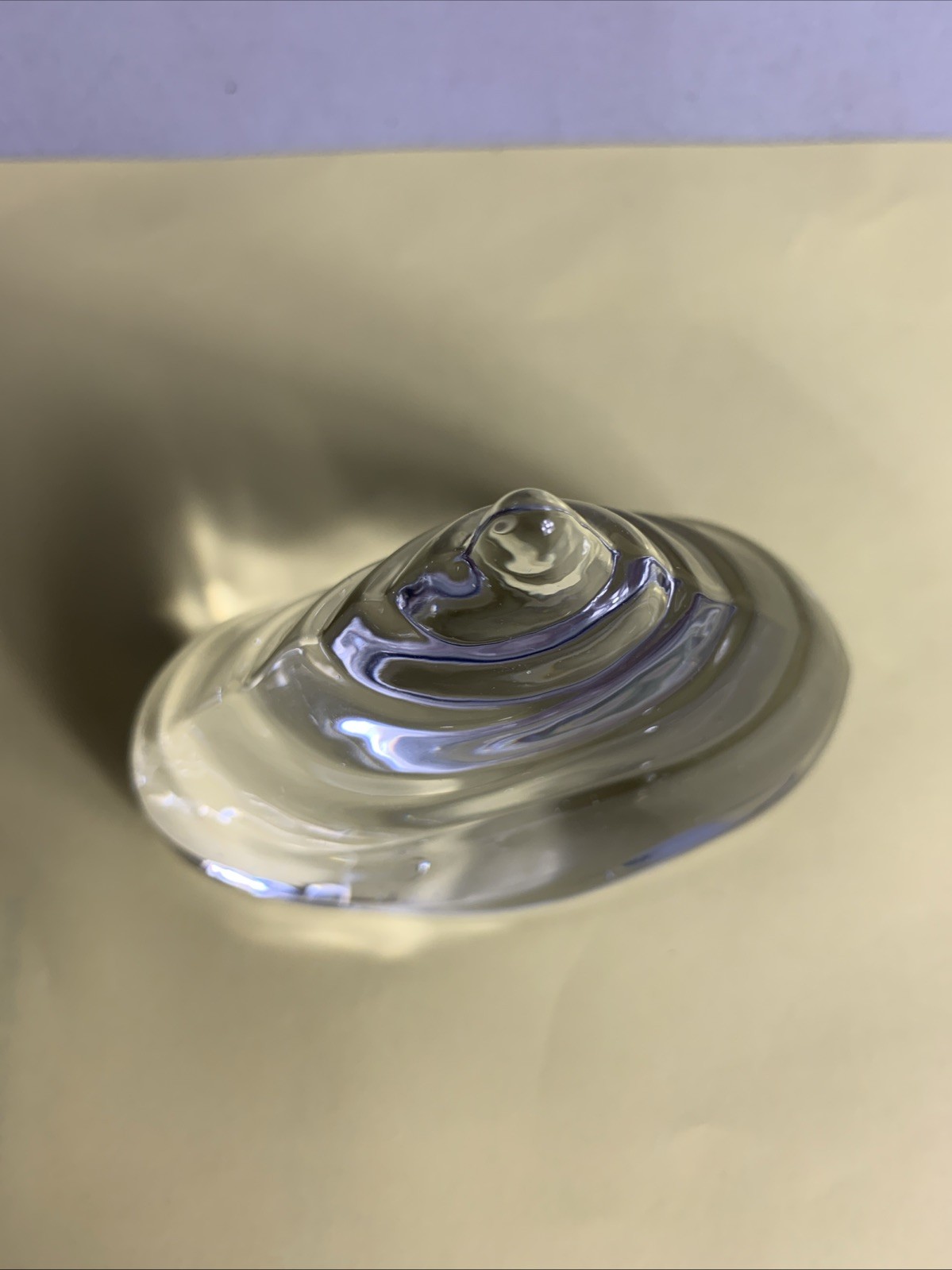 seashell paperweight clear glass 3 1/2 Wide 3 Inches Tall