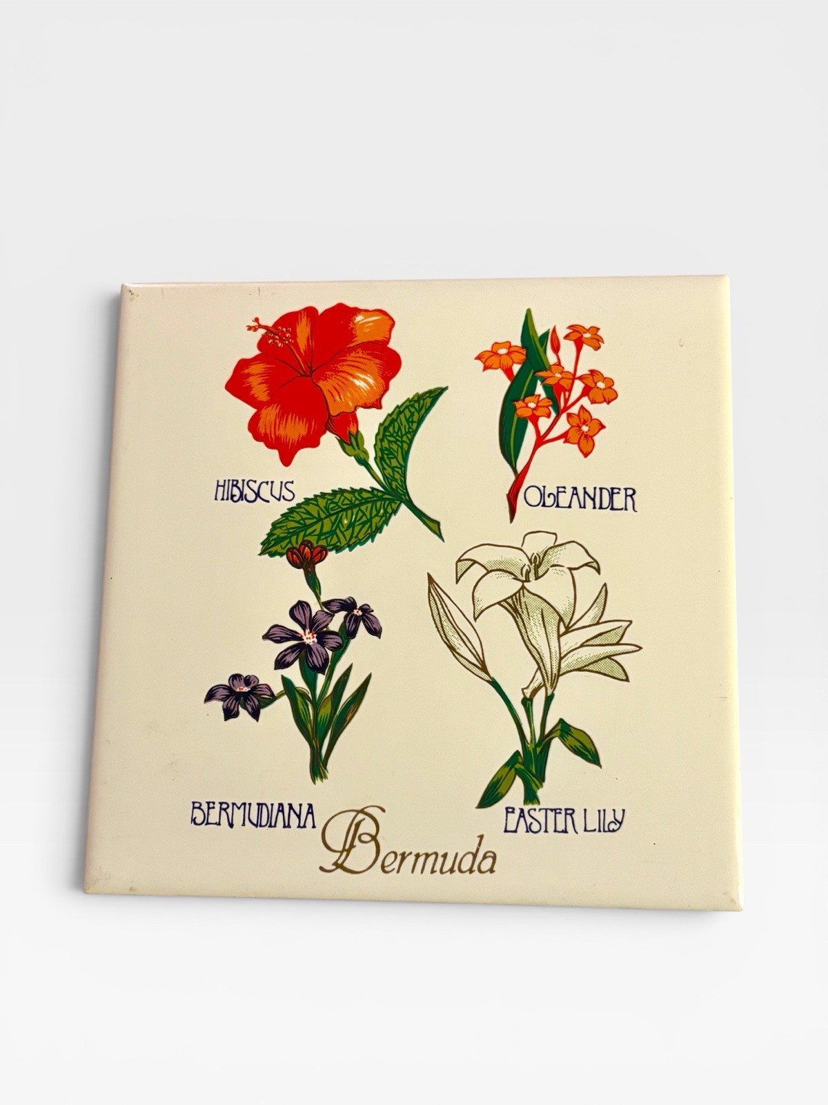 Vintage Bermuda Flower Souvenir Wall Tile Trivet 1960s Bermudiana Easter Lily 6”
