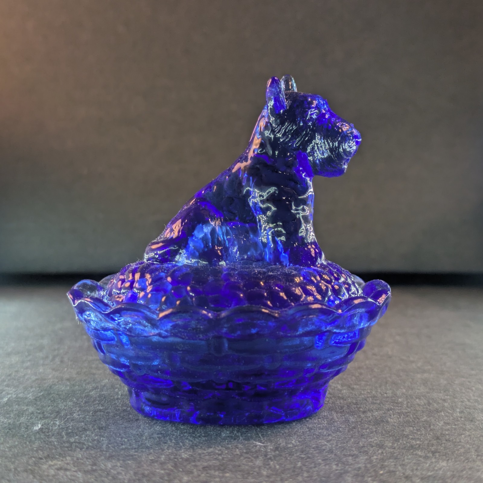 Boyd’s Crystal Art Glass Scottie Salt COBALT Uranium Glass
