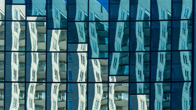 La Distorsion Optique
